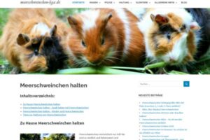Meerschweinchen zu Hause halten | Tipps für artgerechte Haltung