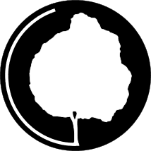 Planbaum – Ästhetische Baumpflege