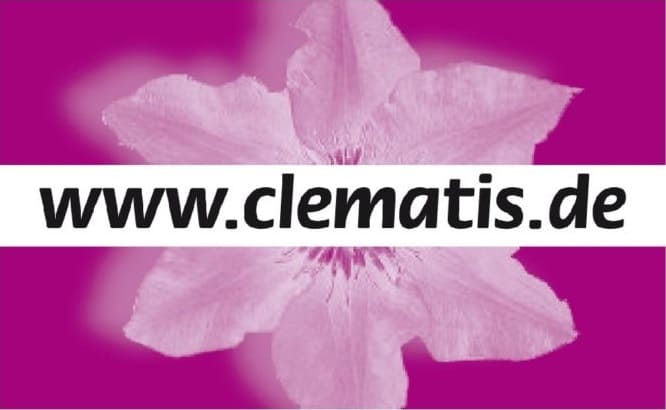 Clematis kaufen und richtig pflegen – Clematis Baumschule & Online-Shop W. Kruse aus Melle